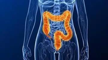 1531997162648866L9Ei.png 94.png