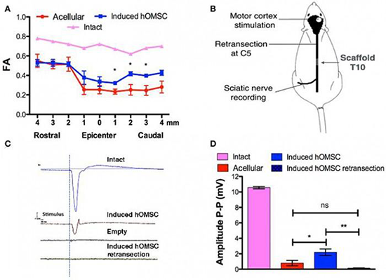 1532046225885845sOH1.png 圖片33.png