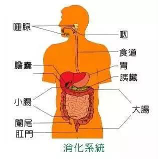 1557371113785201sE7w.png 圖片3.png