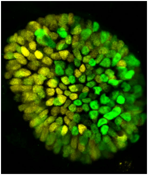 1562894243697937wttw.png 20190704064030693.png