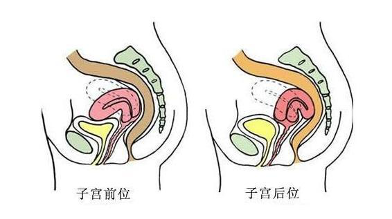 1563328429398554QlV5.png 圖片6.png